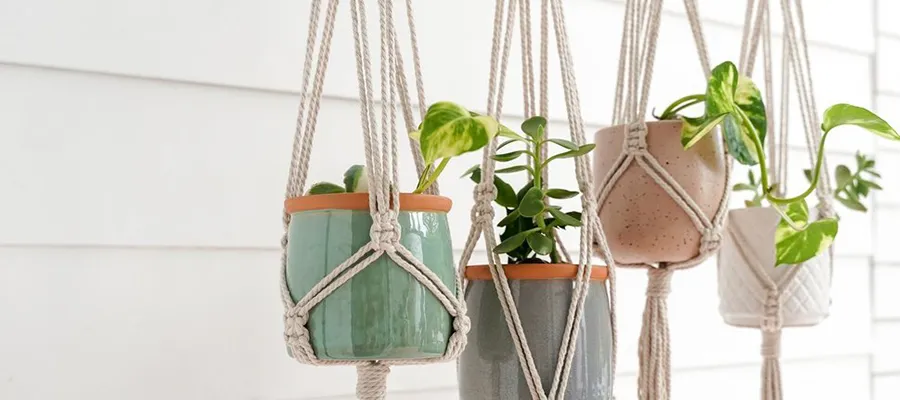 makrome saksi nasil yapilir