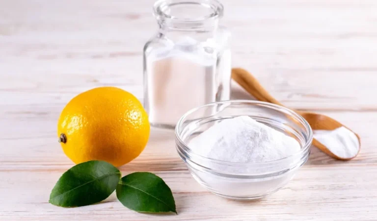 Bitkiler İçin Yaprak Parlatıcı Doğal Tarifler Nelerdir?