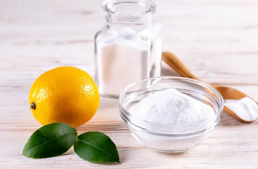 Bitkiler İçin Yaprak Parlatıcı Doğal Tarifler Nelerdir?